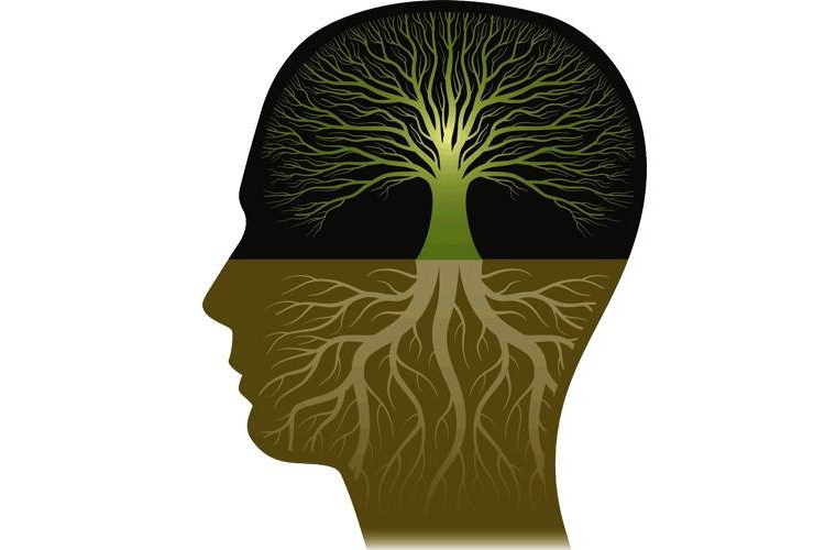 Power of Entrepreneurial Mindset